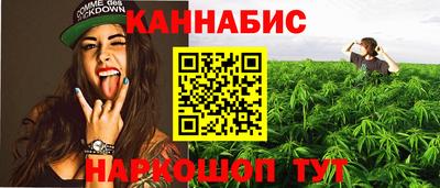 дживик Вышний Волочёк