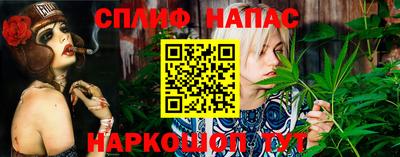 дживик Вышний Волочёк